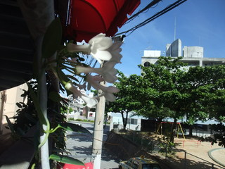 DSCF2476.JPG